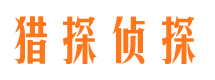 隆子侦探公司